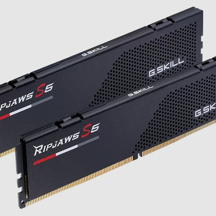 G.SKILL F5-6000J3040F16GX2-RS5K 32GB (2 x 16GB)/ DDR5 6000 MT/s/ XMP 3.0/Timings 30-40-40-96/ Voltage 1.35V/ Ripjaws S5