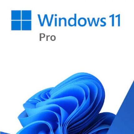 Microsoft Windows 11 Professional Retail 64-bit USB Flash Drive