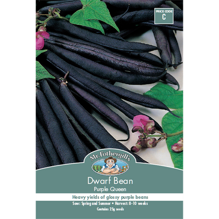 Mr Fothergill's Purple Queen Dwarf Bean Vegetable Seed