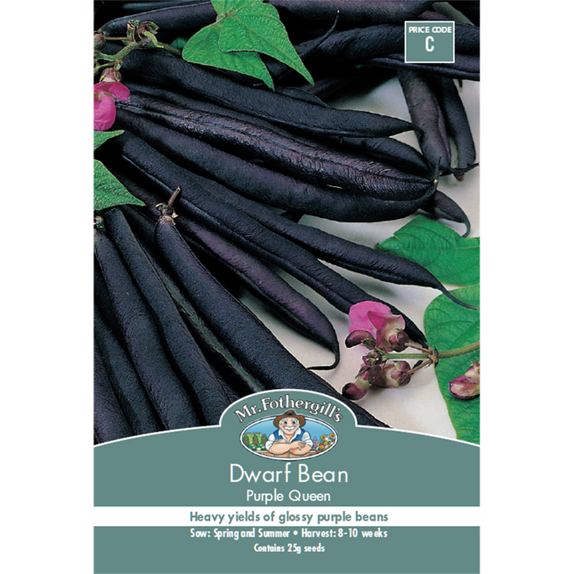 Mr Fothergill's Purple Queen Dwarf Bean Vegetable Seed