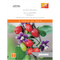 Vegetable Seeds